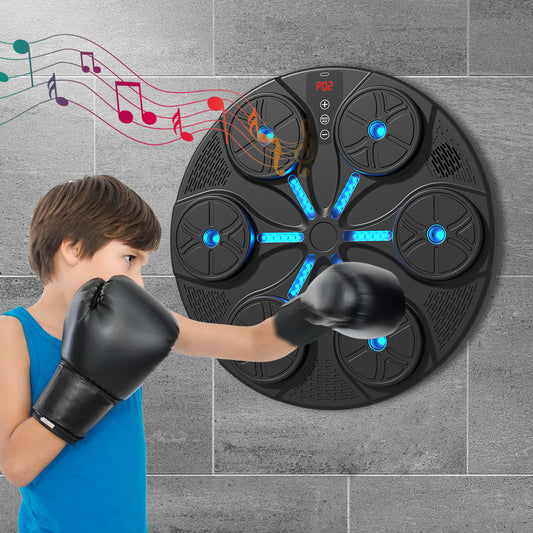 Blue Boxing Wall Trainer