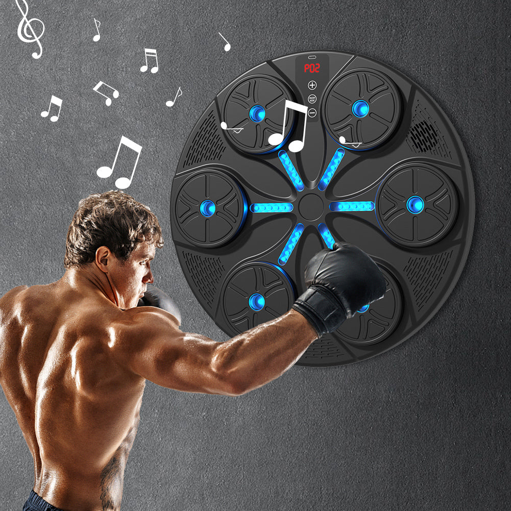 Blue Boxing Wall Trainer