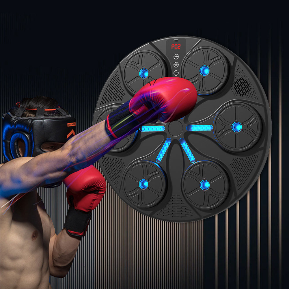 Blue Boxing Wall Trainer